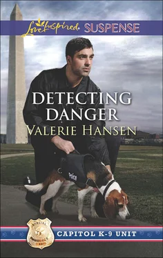 Valerie Hansen Detecting Danger обложка книги