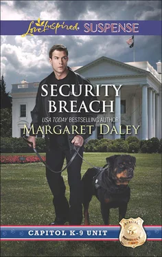 Margaret Daley Security Breach обложка книги