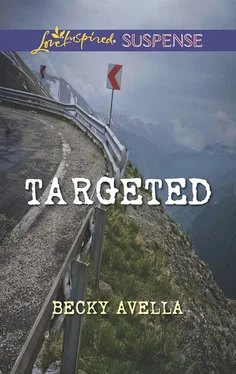 Becky Avella Targeted обложка книги