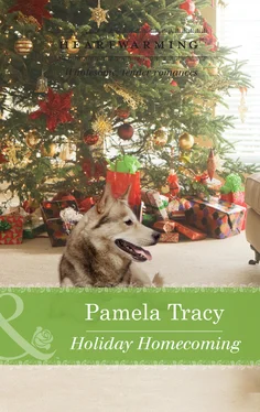 Pamela Tracy Holiday Homecoming обложка книги