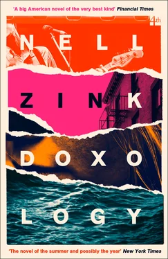 Nell Zink Doxology обложка книги