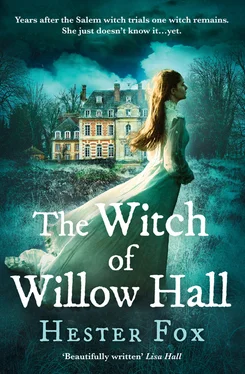 Hester Fox The Witch Of Willow Hall обложка книги