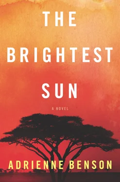Adrienne Benson The Brightest Sun обложка книги