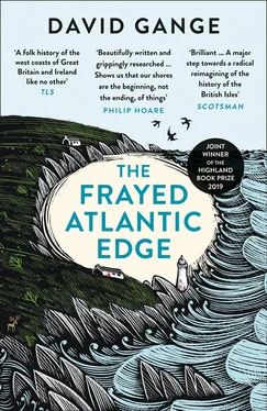 David Gange The Frayed Atlantic Edge обложка книги