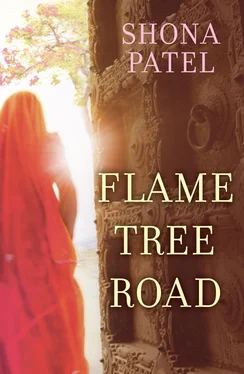 Shona Patel Flame Tree Road обложка книги