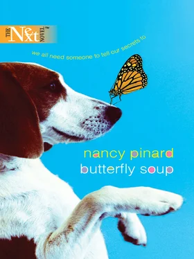 Nancy Pinard Butterfly Soup обложка книги