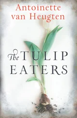 Antoinette van Heugten - The Tulip Eaters