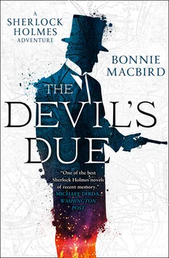 Bonnie Macbird The Devil’s Due обложка книги