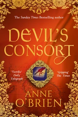 Anne O'Brien Devil's Consort обложка книги