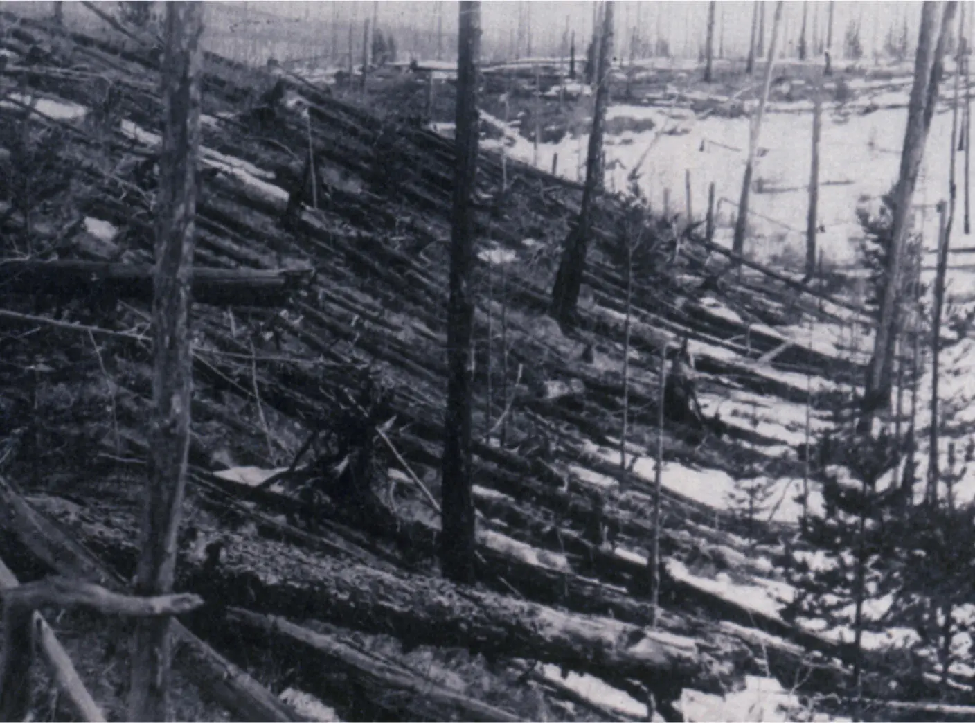 Science History Images Alamy Stock Photo The Tunguska airburst of 1908 is - фото 10