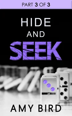 Amy Bird Hide And Seek (Part 3) обложка книги