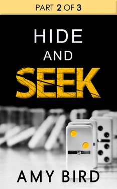 Amy Bird Hide And Seek (Part 2) обложка книги
