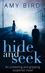 Amy Bird - Hide And Seek