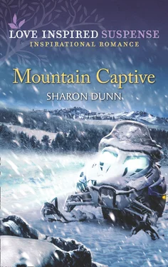 Sharon Dunn Mountain Captive обложка книги