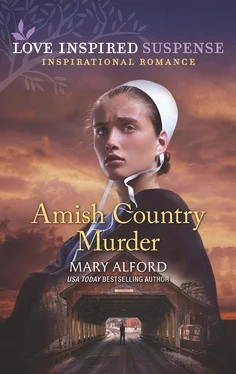 Mary Alford Amish Country Murder обложка книги