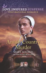 Mary Alford - Amish Country Murder