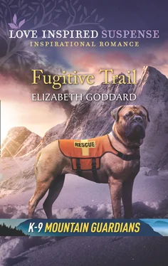Elizabeth Goddard Fugitive Trail обложка книги
