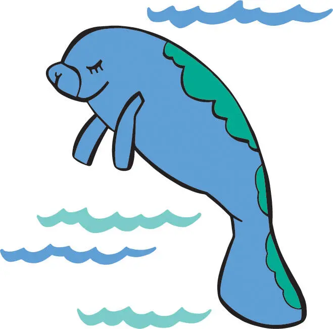 Dugong COMES FROM A MALAY WORD THAT MEANS lady of the sea The worlds - фото 39