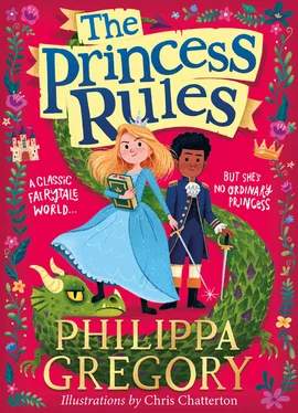 Philippa Gregory The Princess Rules обложка книги