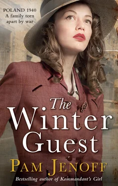 Pam Jenoff The Winter Guest обложка книги