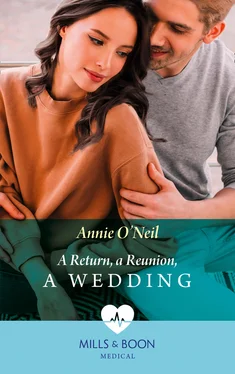 Annie O'Neil A Return, A Reunion, A Wedding обложка книги