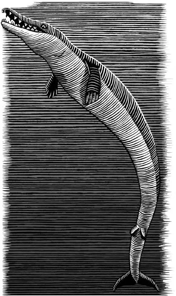 Basilosaurus The fossilrich rocks of Wadi AlHitan reflect ancient shorelines - фото 13