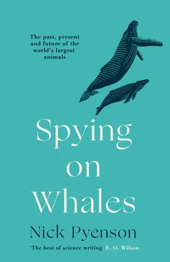 Nick Pyenson Spying on Whales обложка книги