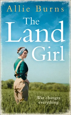 Allie Burns The Land Girl обложка книги