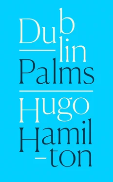 Hugo Hamilton Dublin Palms обложка книги