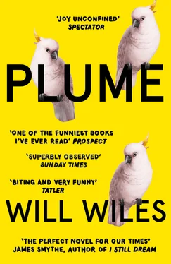 Will Wiles Plume обложка книги