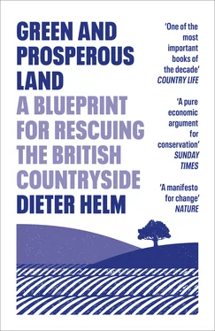 Dieter Helm Green and Prosperous Land обложка книги