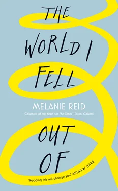 Melanie Reid The World I Fell Out Of обложка книги