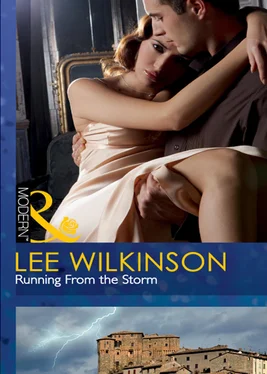 Lee Wilkinson Running From the Storm обложка книги