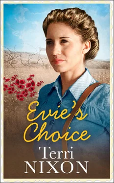 Terri Nixon Evie’s Choice обложка книги