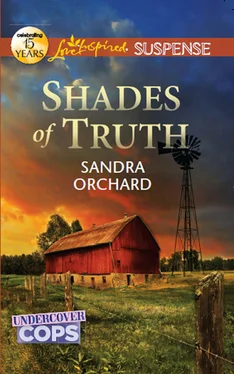Sandra Orchard Shades of Truth обложка книги