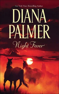Diana Palmer Night Fever обложка книги