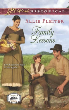 Allie Pleiter Family Lessons обложка книги