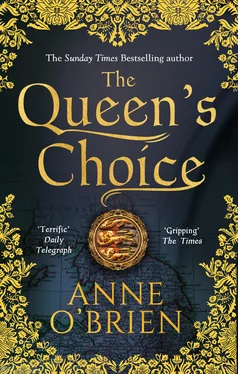 Anne O'Brien The Queen's Choice обложка книги