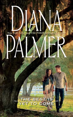 Diana Palmer The Best Is Yet to Come обложка книги