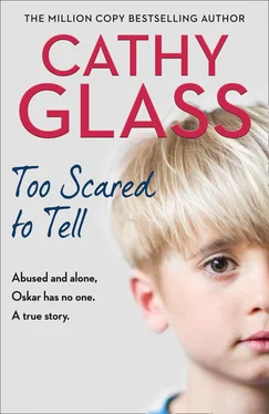 Cathy Glass Too Scared to Tell обложка книги