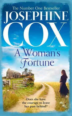 Josephine Cox A Woman’s Fortune обложка книги