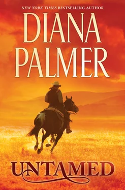 Diana Palmer Untamed обложка книги