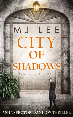 M J Lee City Of Shadows обложка книги