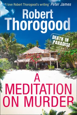 Robert Thorogood A Meditation On Murder обложка книги