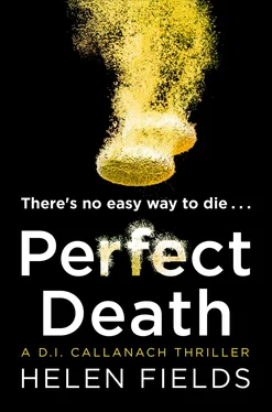 Helen Fields Perfect Death обложка книги