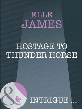 Elle James Hostage to Thunder Horse обложка книги