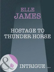 Elle James - Hostage to Thunder Horse