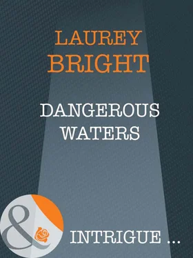 Laurey Bright Dangerous Waters обложка книги