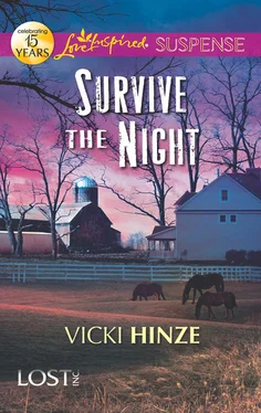 Vicki Hinze Survive the Night обложка книги