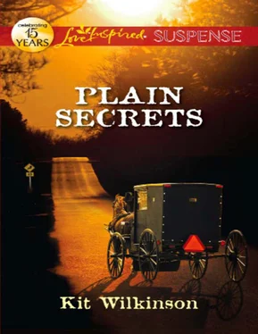 Kit Wilkinson Plain Secrets обложка книги